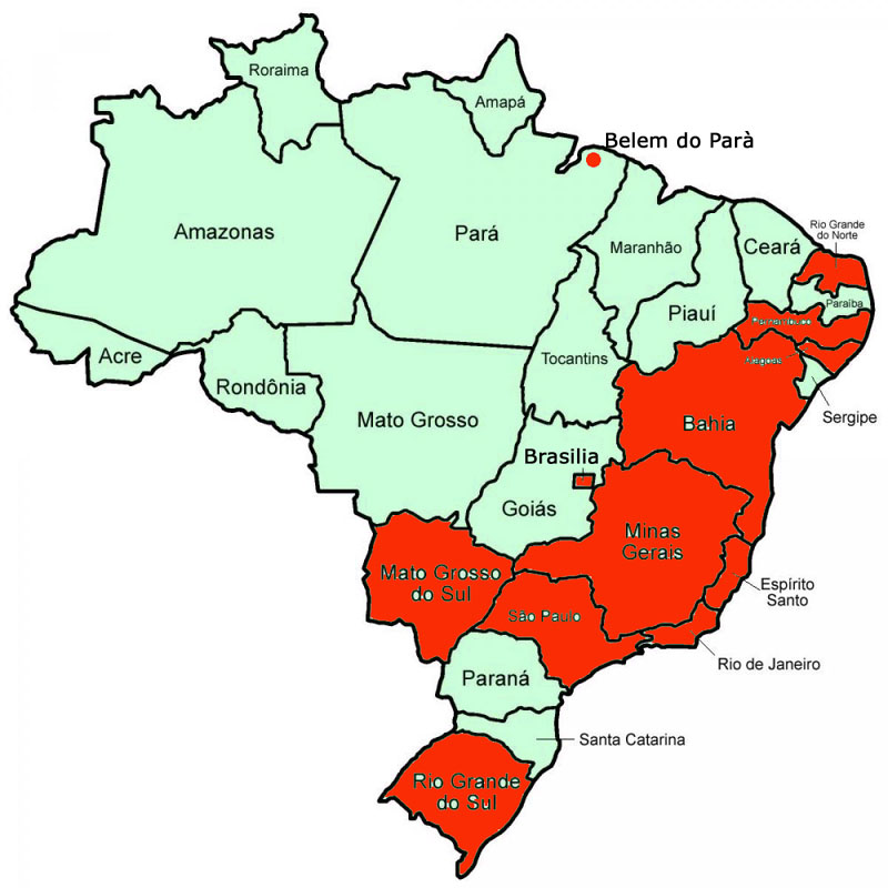 brasile-stati provv